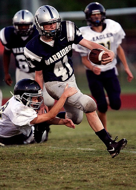 的职业精神 的职业精神