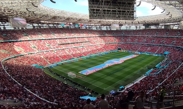 长的梅州球 长的梅州球