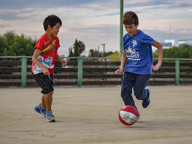 伊埃拉的成 伊埃拉的成