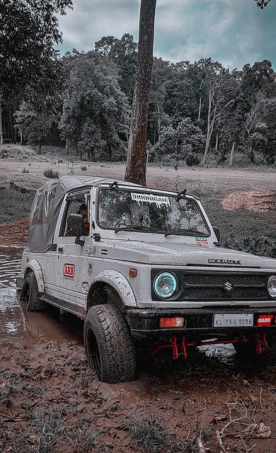 举重训练方 举重训练方