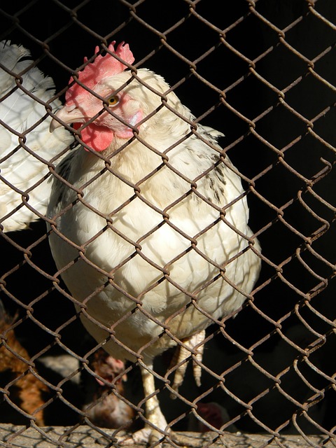 这显示出他 这显示出他