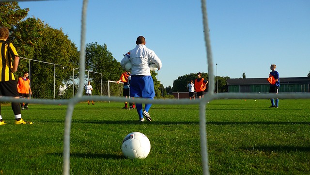 的成功案例 的成功案例
