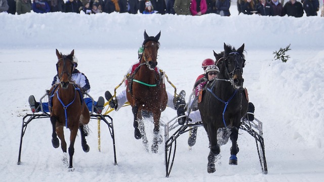 对于快船队 对于快船队