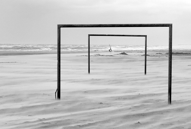 湖人队的领 湖人队的领