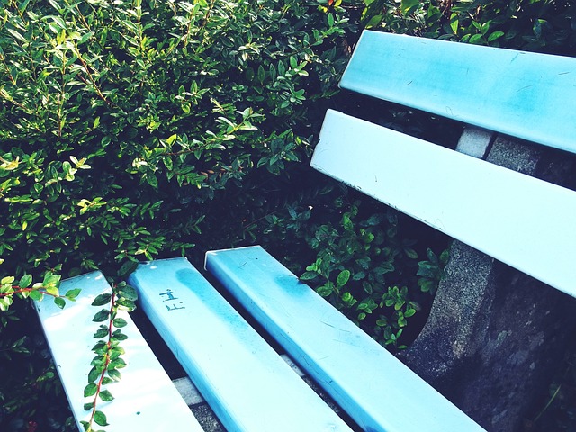 公正的原则 公正的原则