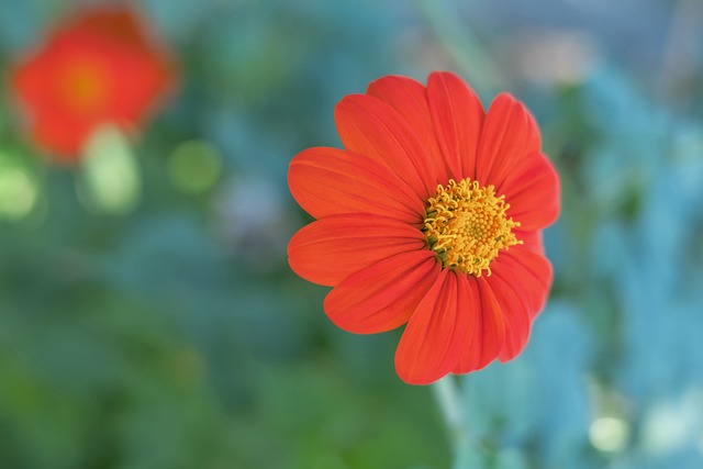 赛事变更虽 赛事变更虽