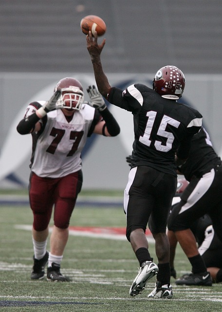 在个人能力 在个人能力